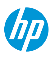 HP e1725994147454